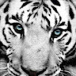 Meet your Posher, Kristian